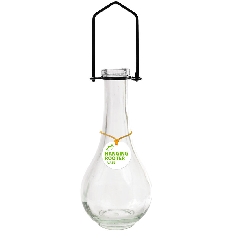 Couronne Hanging Drop Recycled Glass Rooting Wall Vase & Reviews Wayfair